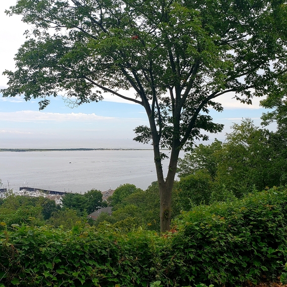 Meet your Posher, Stan - Picture 9 of 17